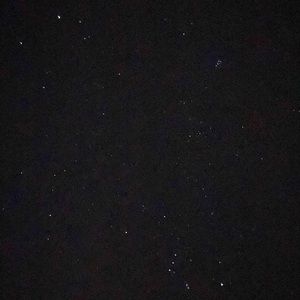 Meet your Posher, Kara